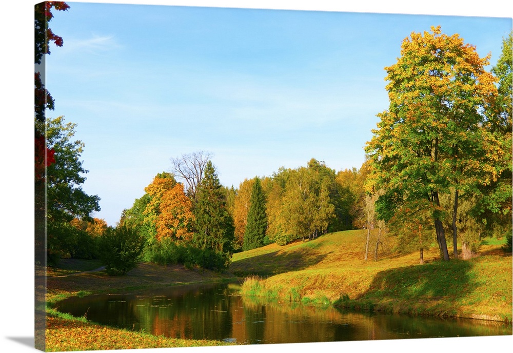 Beautiful autumn park at evening before sunset.