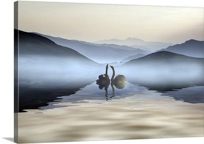 Beautiful Romantic Image Of Swans On Misty Lake With Mountains