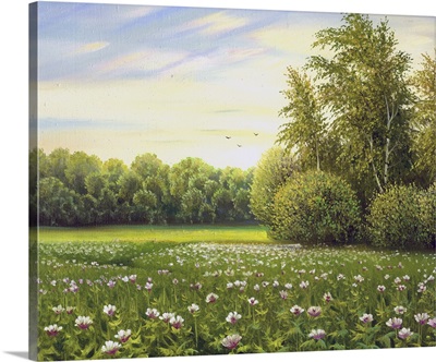 Beautiful Summer Landscape