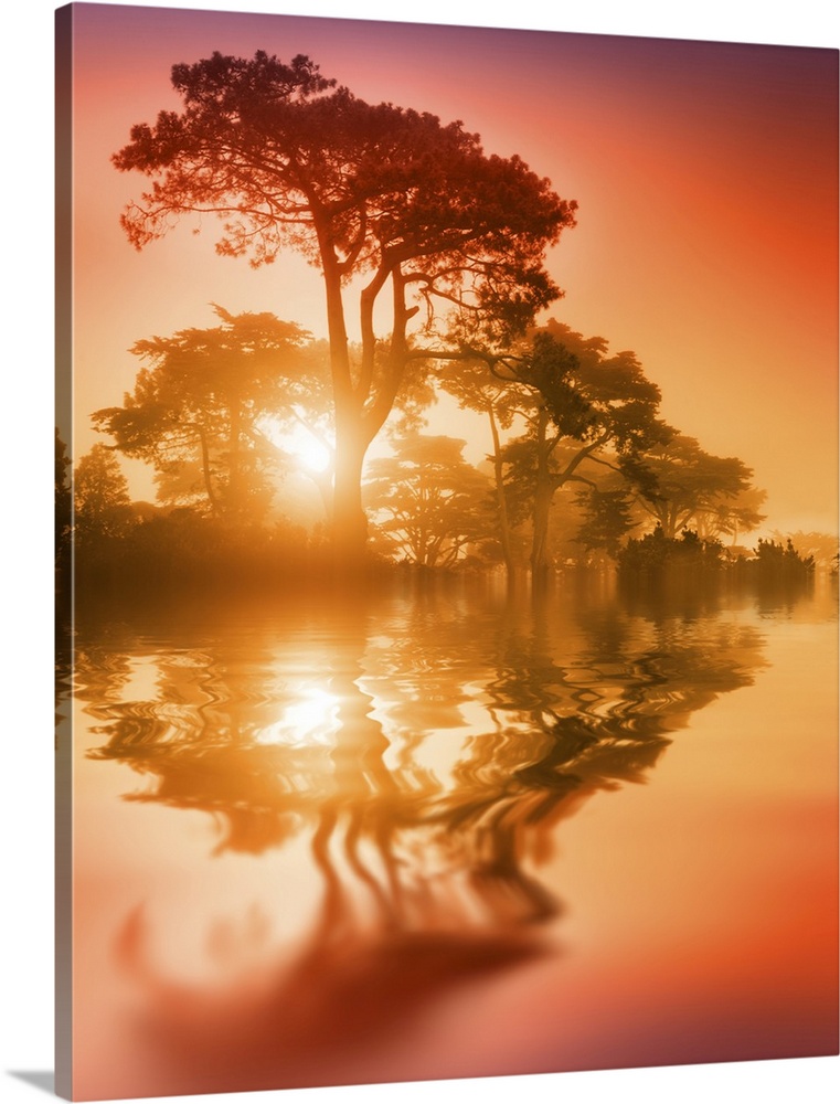 Fantasy scenic trees over lake reflecting in water at sunset. Soft focus.