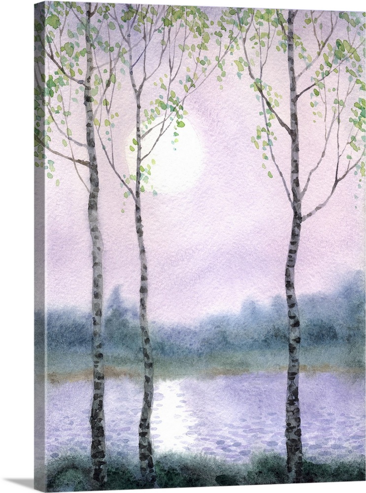 Watercolor landsca of spring birch trees on a quiet misty morning on the river.