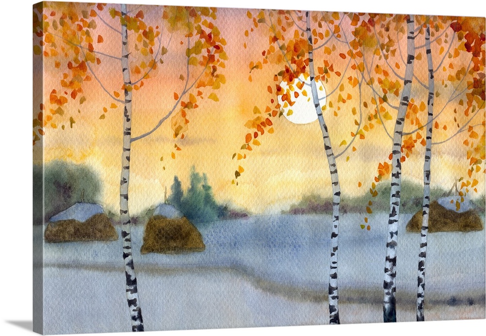 Watercolor landscape of yellowing birch trees near a trail in snowy field.