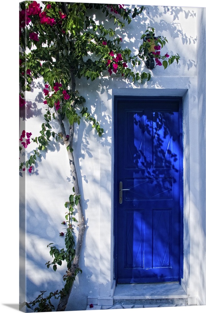 Blue door in Greece with plant climbing on the wall.