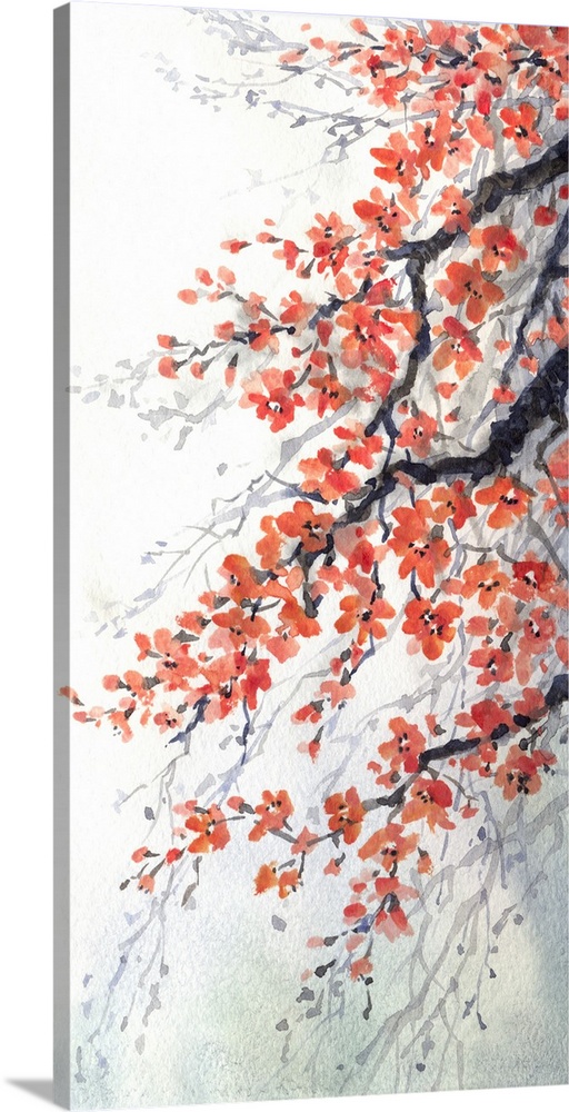 Watercolor painting of hanging branches of fragrant cherry blossoms.