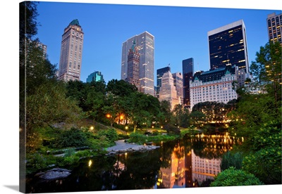Central Park And Manhattan Skyline
