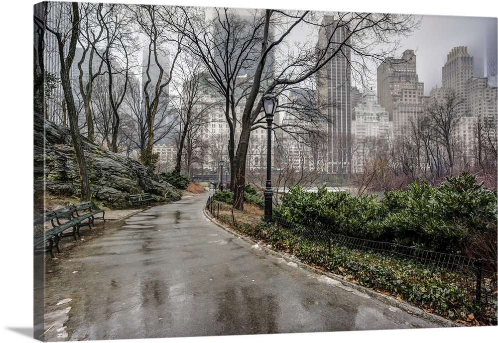 Sidewalk in Central park, New York city after a rainstorm.