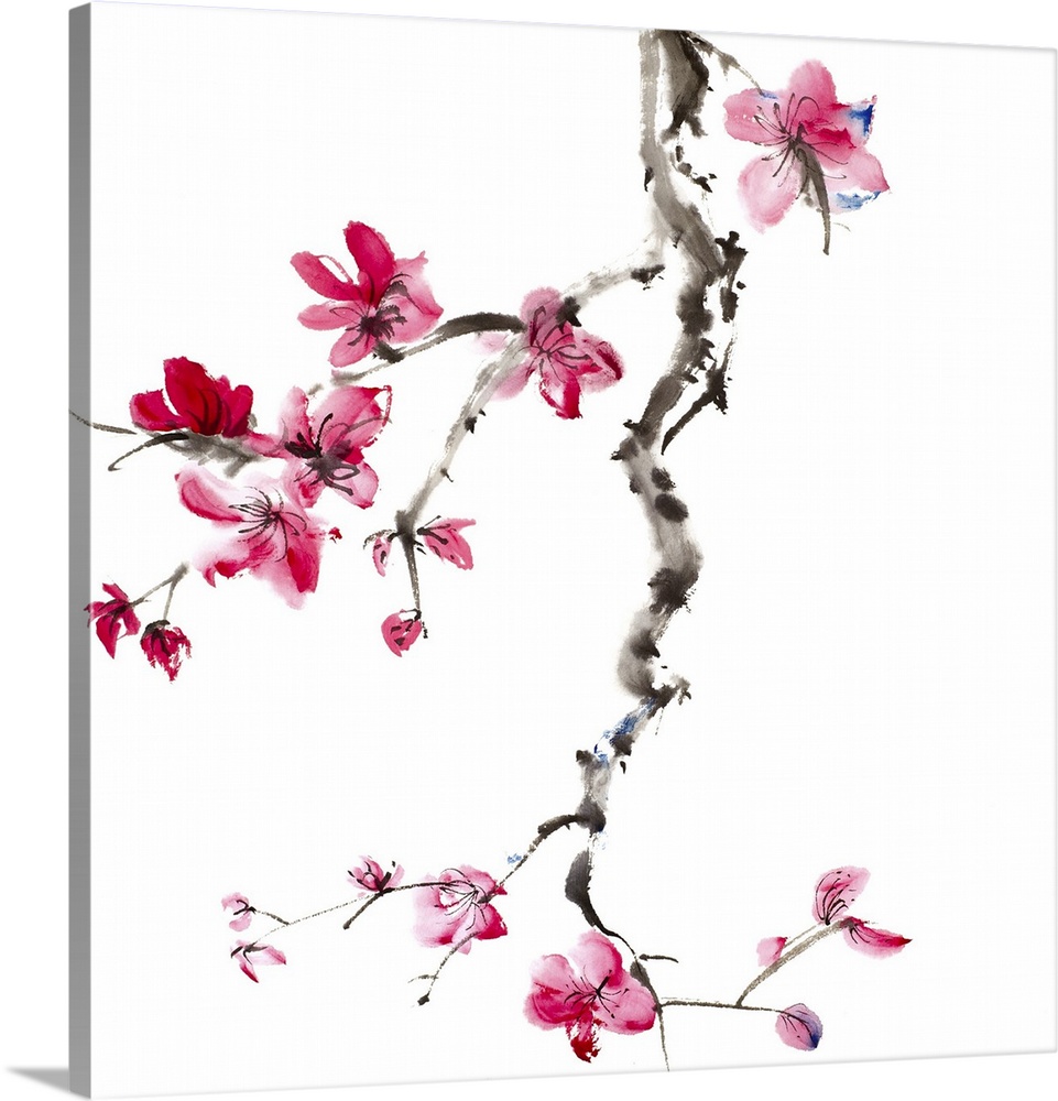 Chinese painting of flowers, plum blossom, on white background.