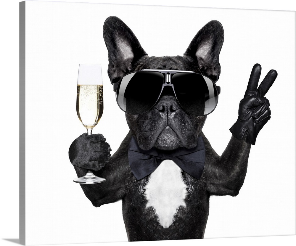 French bulldog with a champagne glass in one hand and the peace sign in the other.
