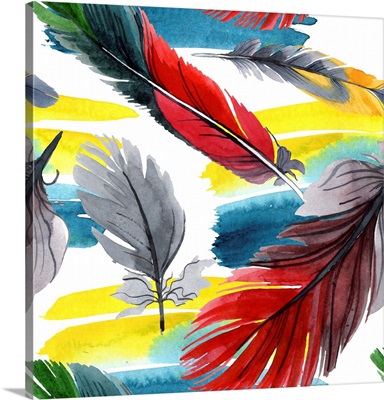 Colorful Bird Feather From Wing Isolated