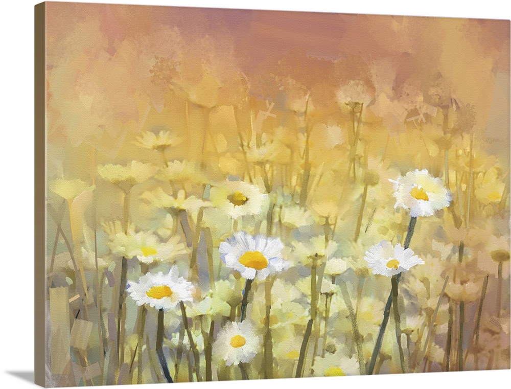 Vintage originally an oil painting of daisy-chamomile flowers field at sunrise.