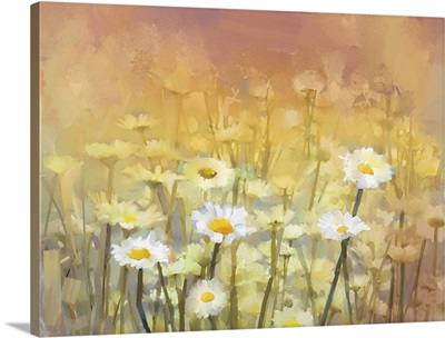 Daisy-Chamomile Flowers Field At Sunrise