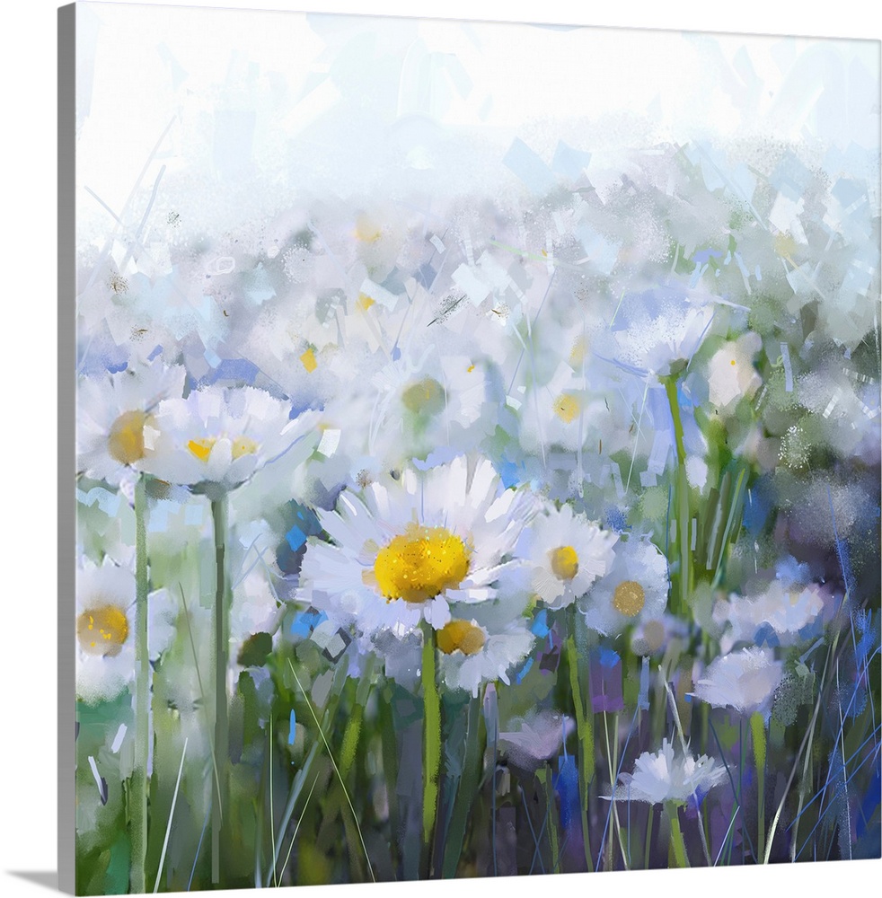 Daisy flowers. Abstract flower oil painting.