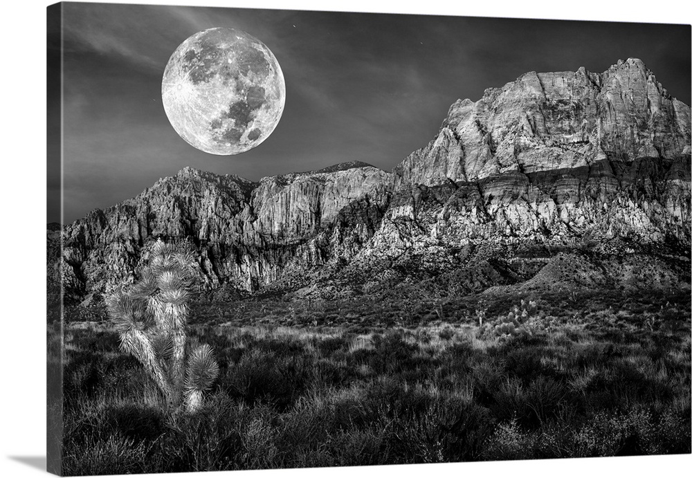 Monochrome of desert mountains and Joshua trees under a full moon.