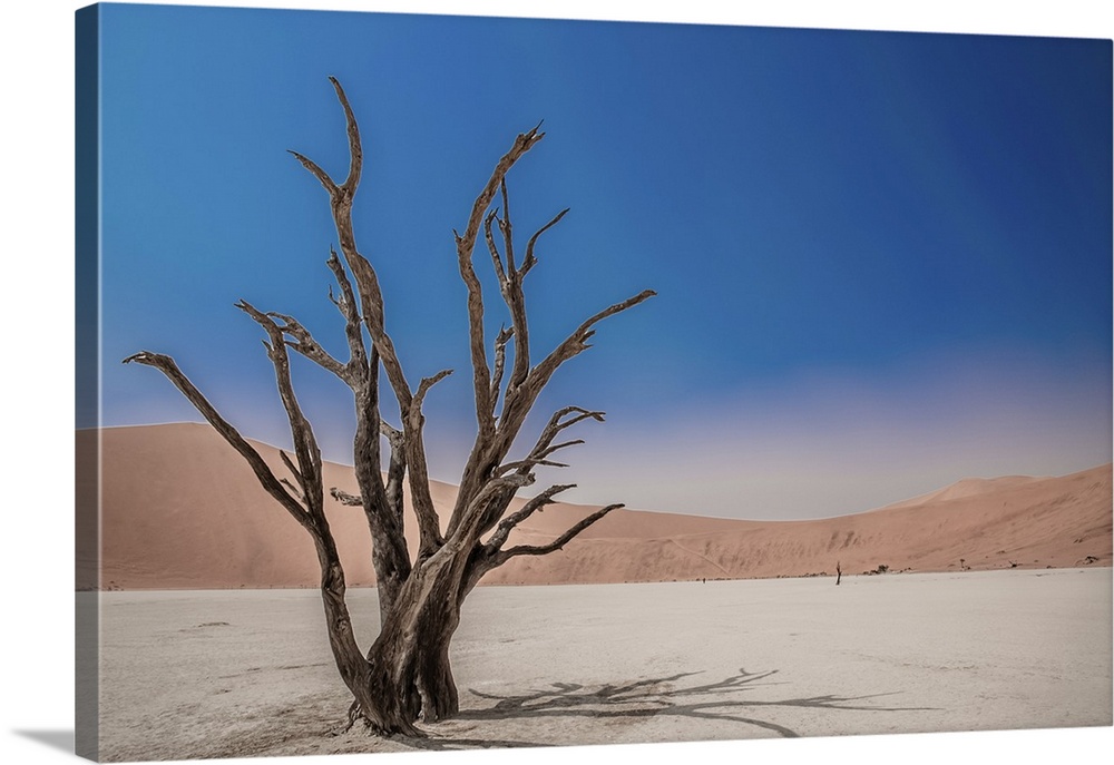 Deadvlei in the Namib desert of Namibia is a dry landscape surrounded by high dunes, the cracked earth is broken by dead c...