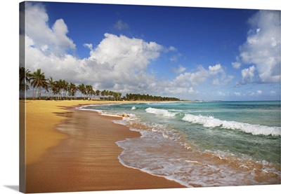 Exotic Beach In Tropic Islands
