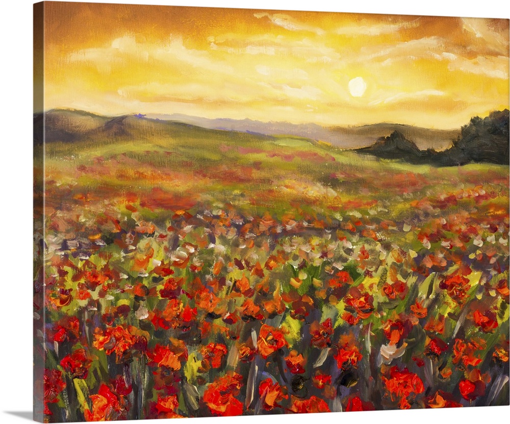 Field Of Red Poppies At Sunset