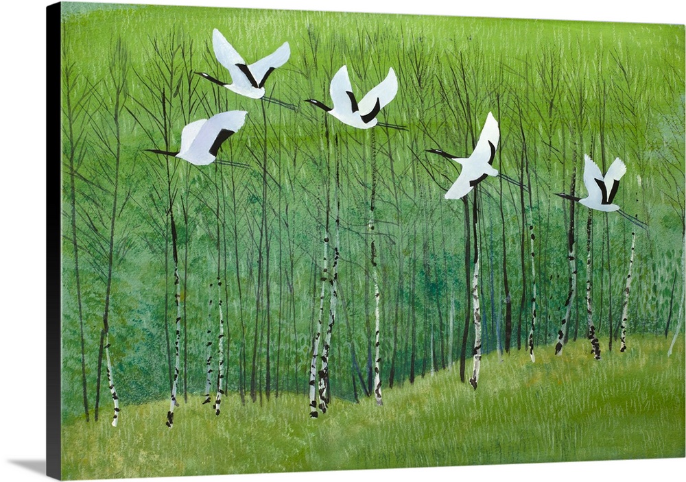 Cranes flying over the forest.