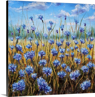 Flower Field, Blue Flowers In Meadow, Blue Sky