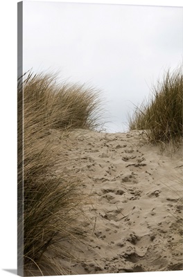 Footsteps In Between The Sandy Dunes