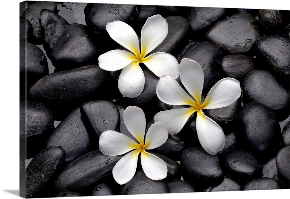 Balinese spa with plumeria.
