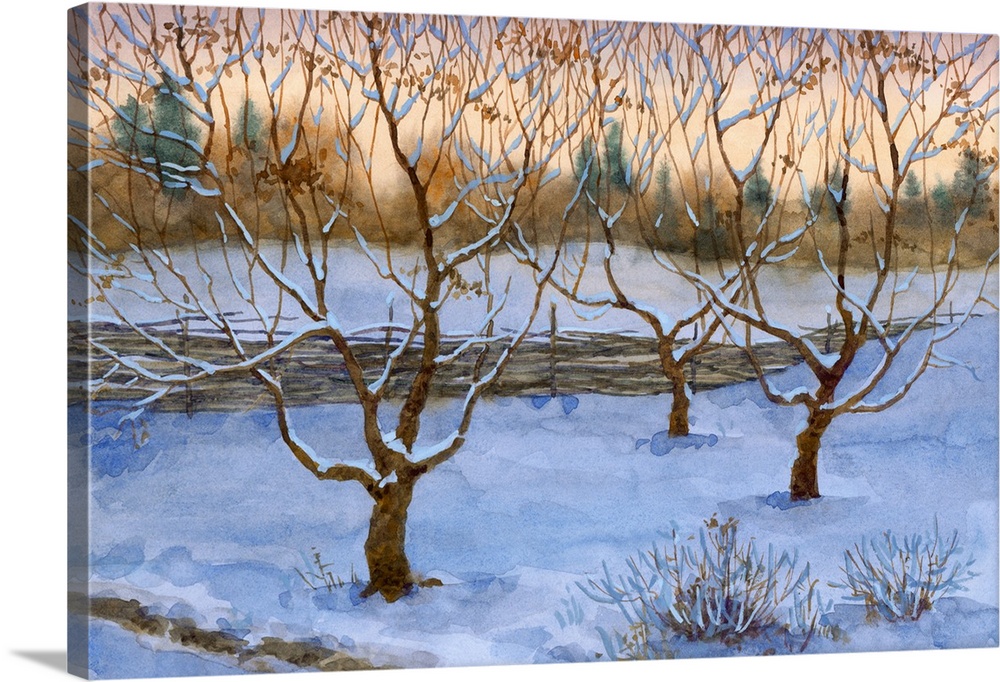 Originally a watercolor landscape. An orchard was covered with the first snow.