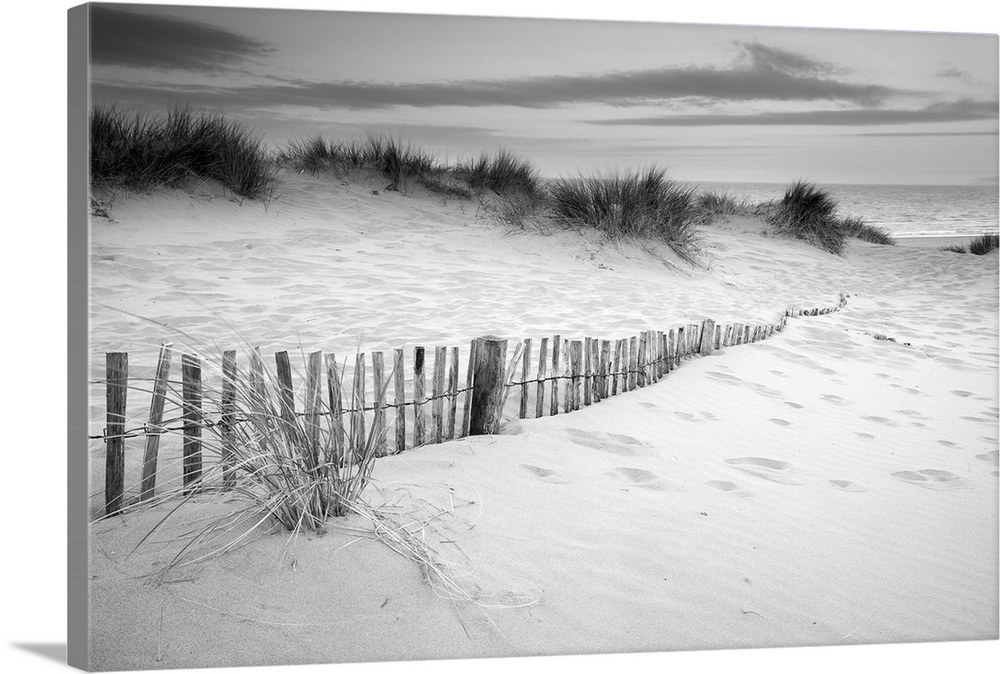 Landscape of grass in sand dunes at sunrise with wooden fences under sand dunes in black and white.