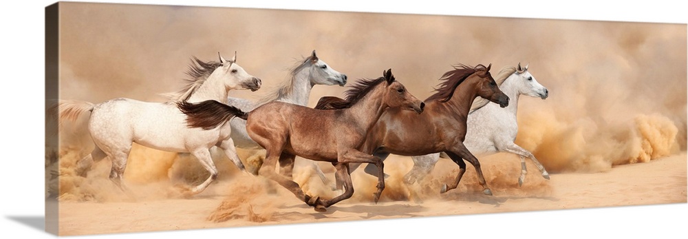 A herd gallops in the sand storm.