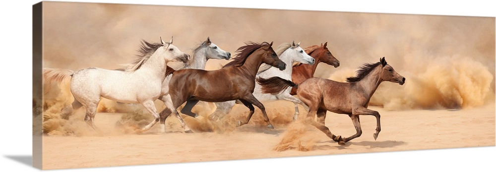 A herd gallops in the sand storm.