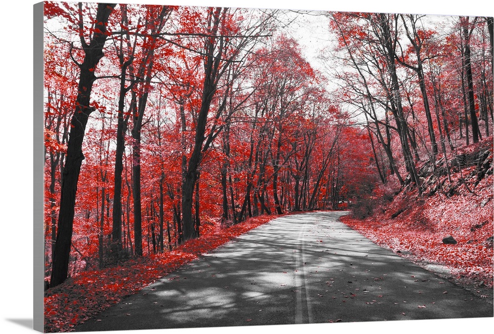 Empty highway through red forest in black and white landscape.