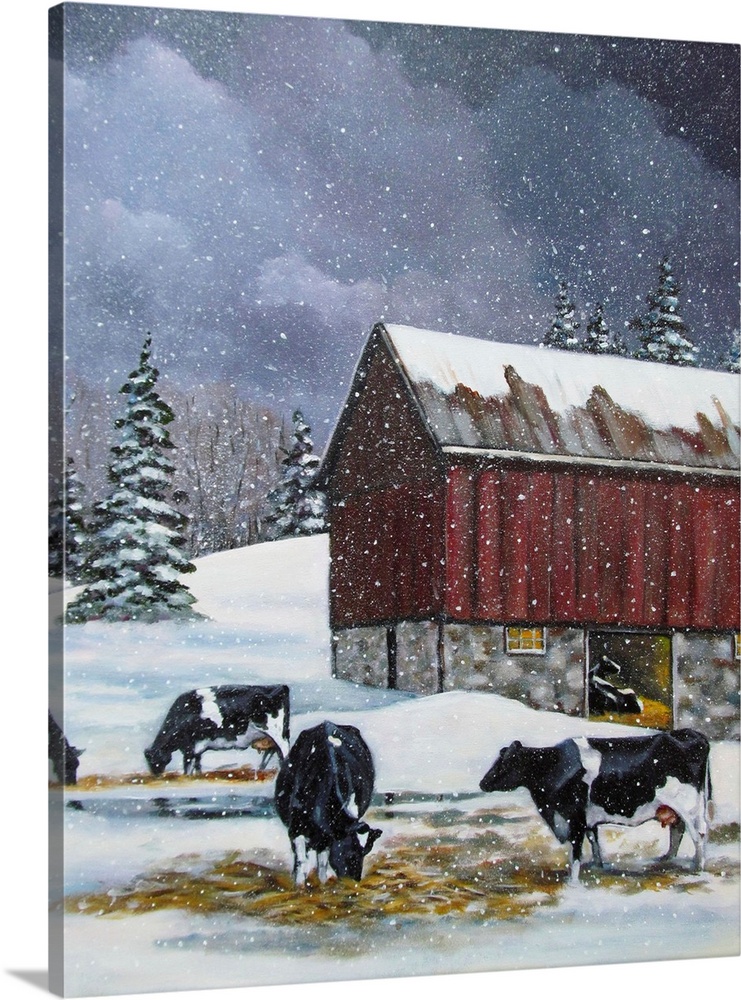 Holstein Cows In Snow