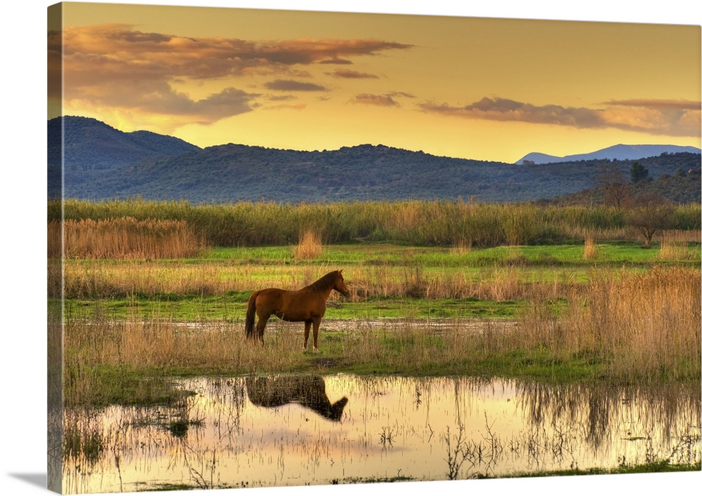 Lone horse in a spectacular late afternoon landscape.