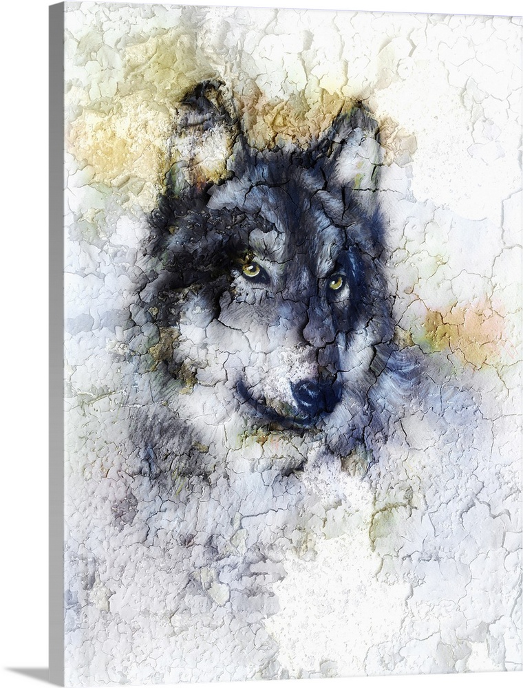 Originally an illustration portrait of a wolf, crackle background.