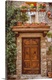 image thumbnail of Italian Door