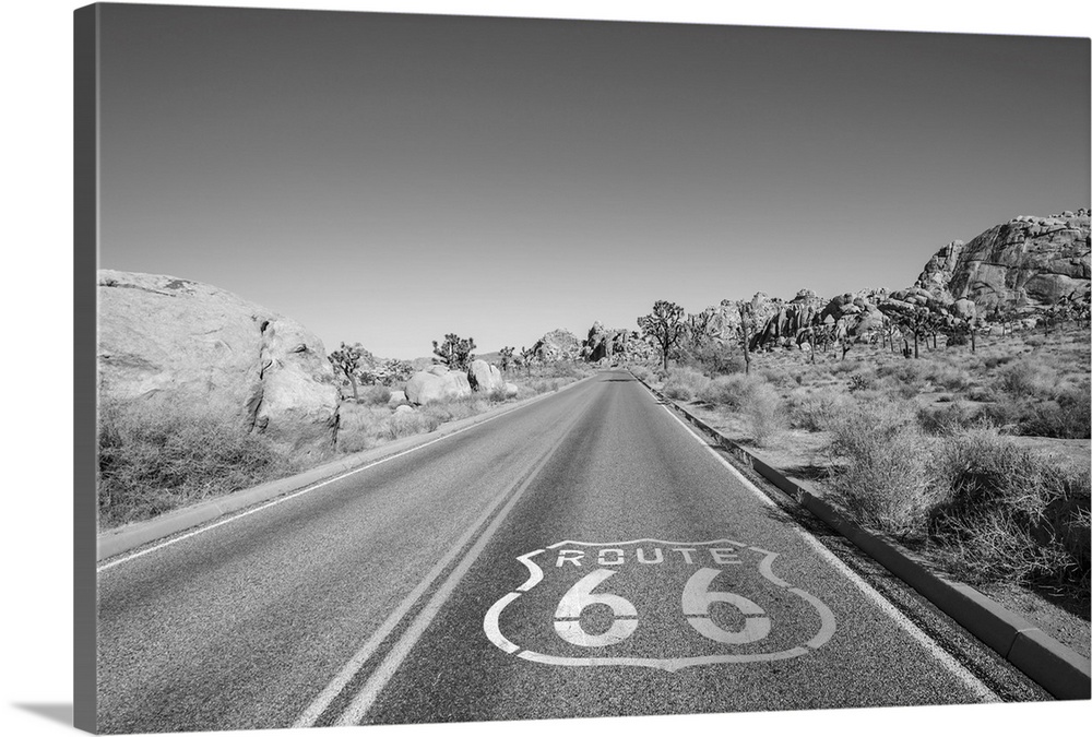 Joshua tree highway with route 66 pavement sign in black and white.