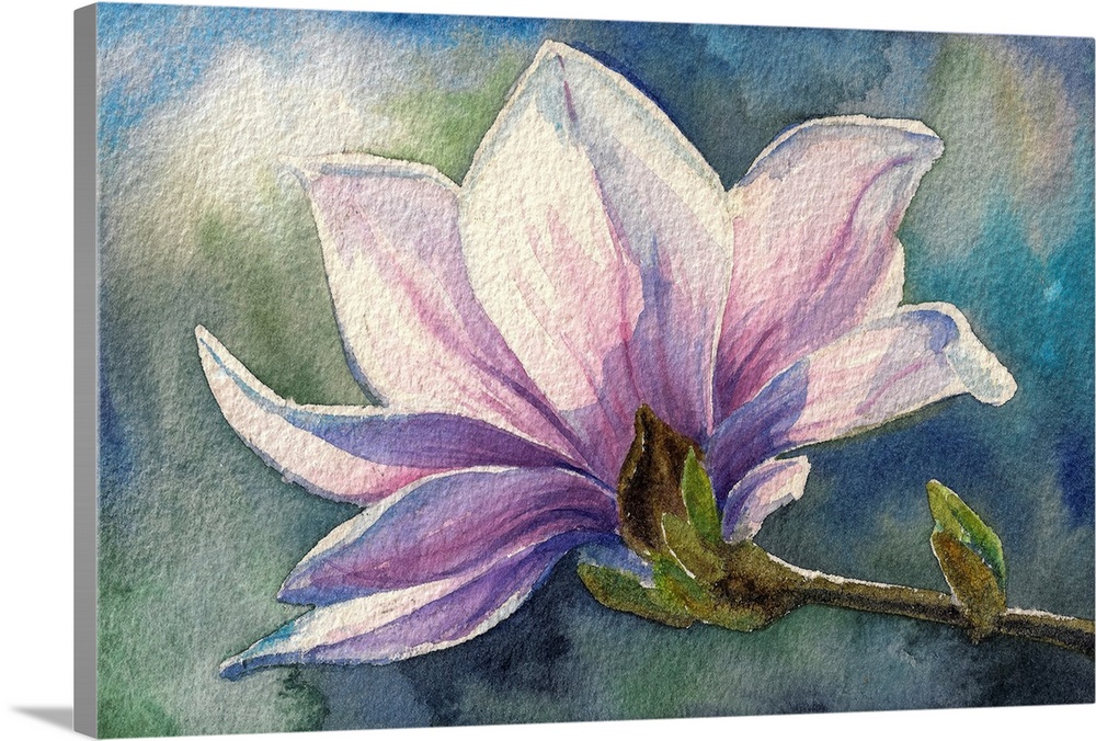 Magnolia blossom on branch. Originally created with watercolors.
