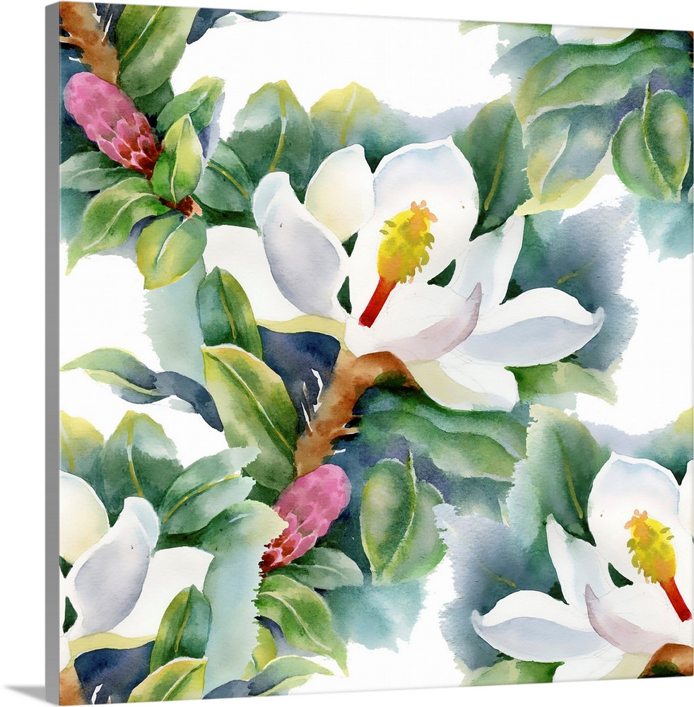 Magnolias pattern on white background.
