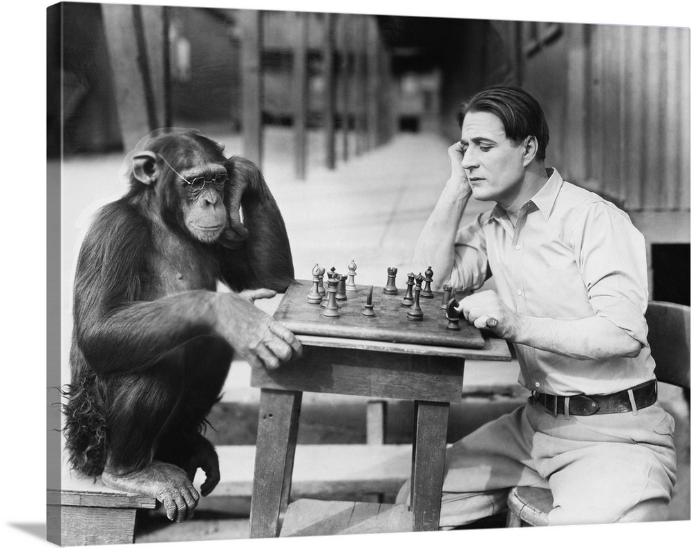 Man playing chess with monkey.