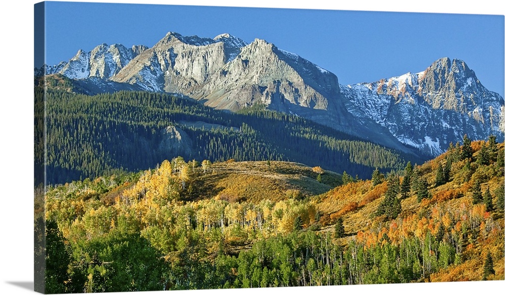 A beautiful scenic view of Mount Sneffel at the peak of autumn, Ridgeway, Colorado.