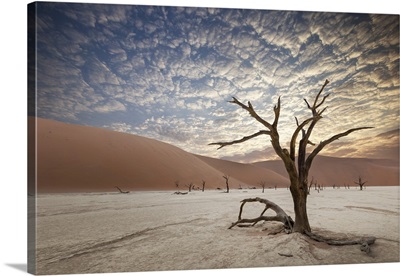 Namib Desert Sossusvlei Salt Lake