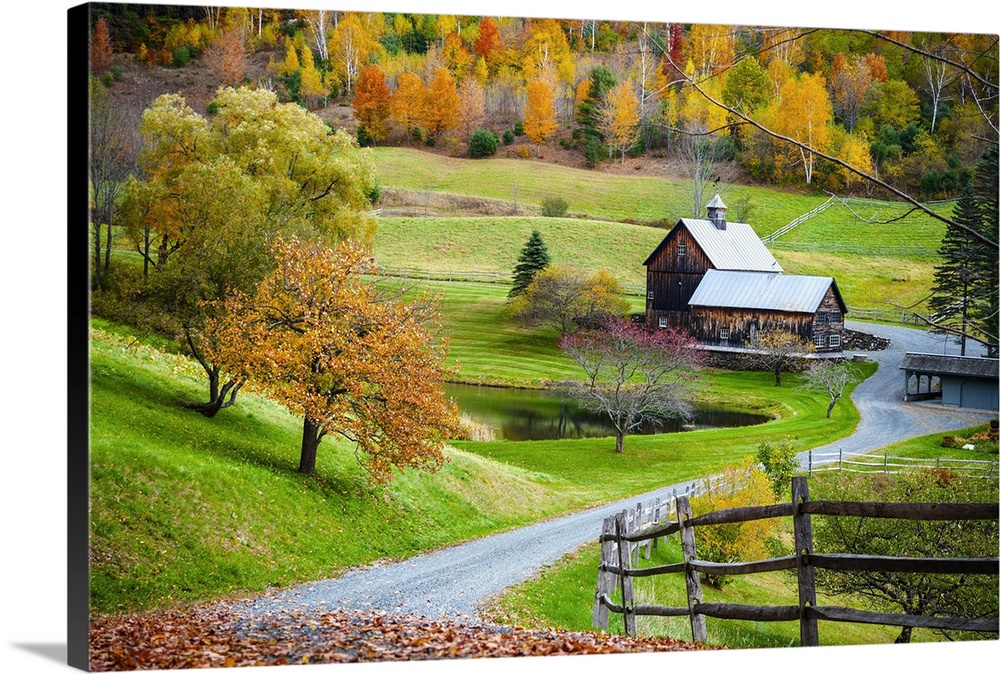 Fall foliage, New England countryside at Woodstock, Vermont, farm in autumn landscape. Old wooden barn surrounded by color...