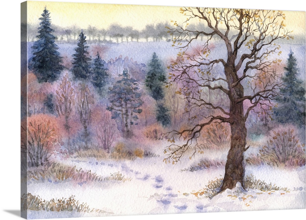 Watercolor landscape of an old tall oak in a forest clearing in the winter snow valley.