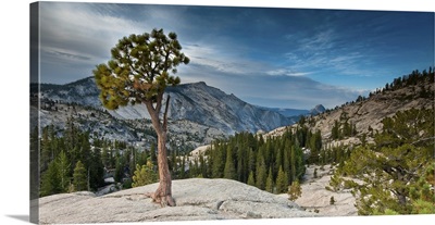Olmsted Point, Yosemite