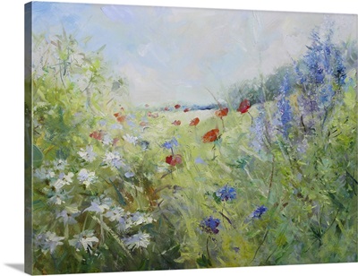 Painted Poppies On A Summer Meadow