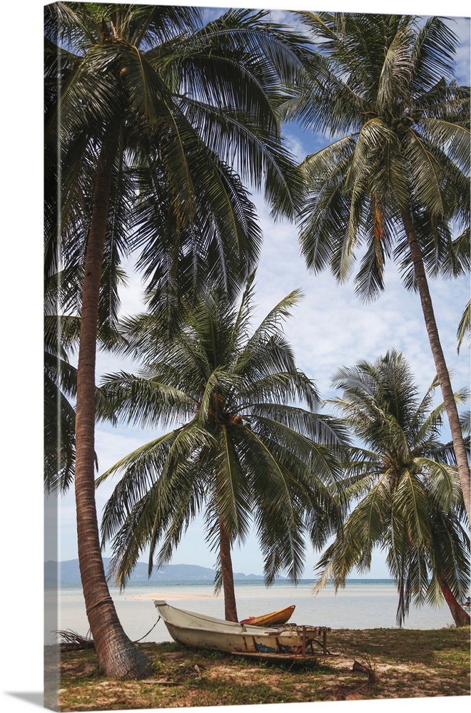 Palm Trees At Tropical Seashore With Boat