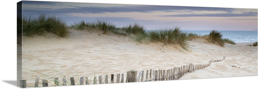 Panorama landscape of sand dunes on beach at sunrise.
