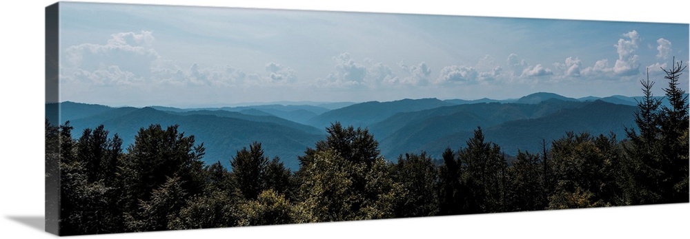 Panoramic shot of trees and mountains against sky with clouds.