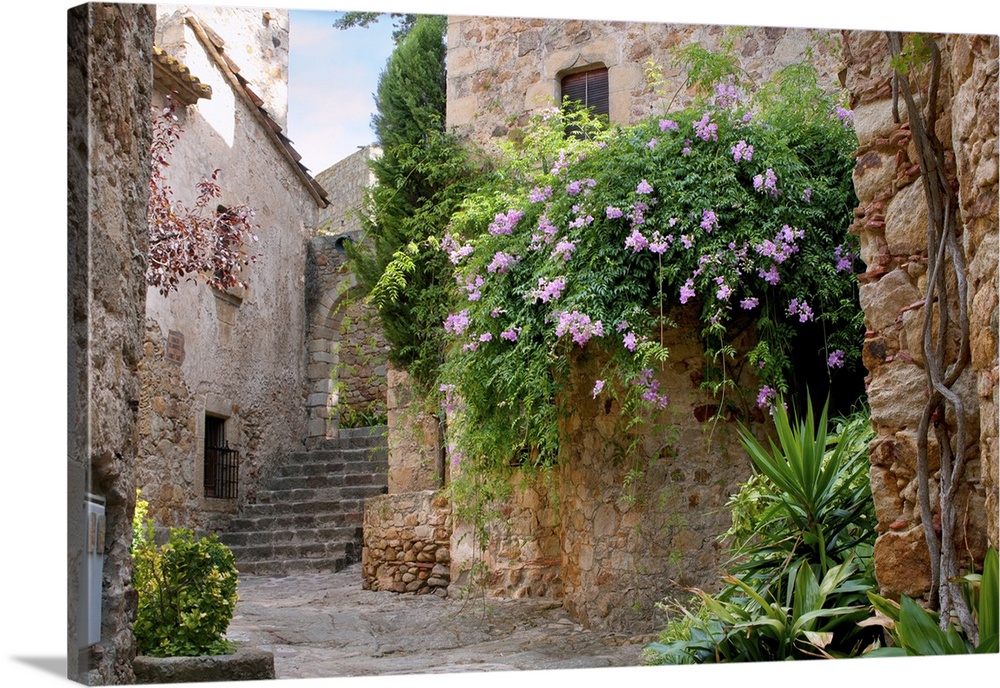 Summer garden in the medieval town of Peratallada, Spain.