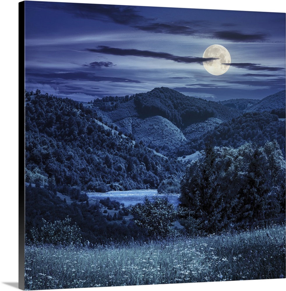 Composite mountain summer landscape. Pine trees on hillside meadow with wild flowers near the river in mountains at night ...