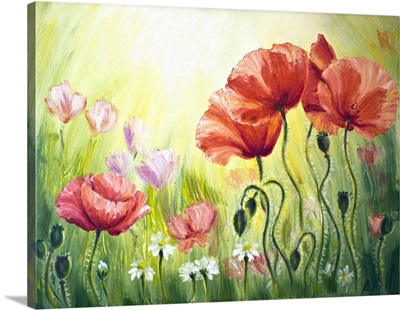 Poppies In The Morning