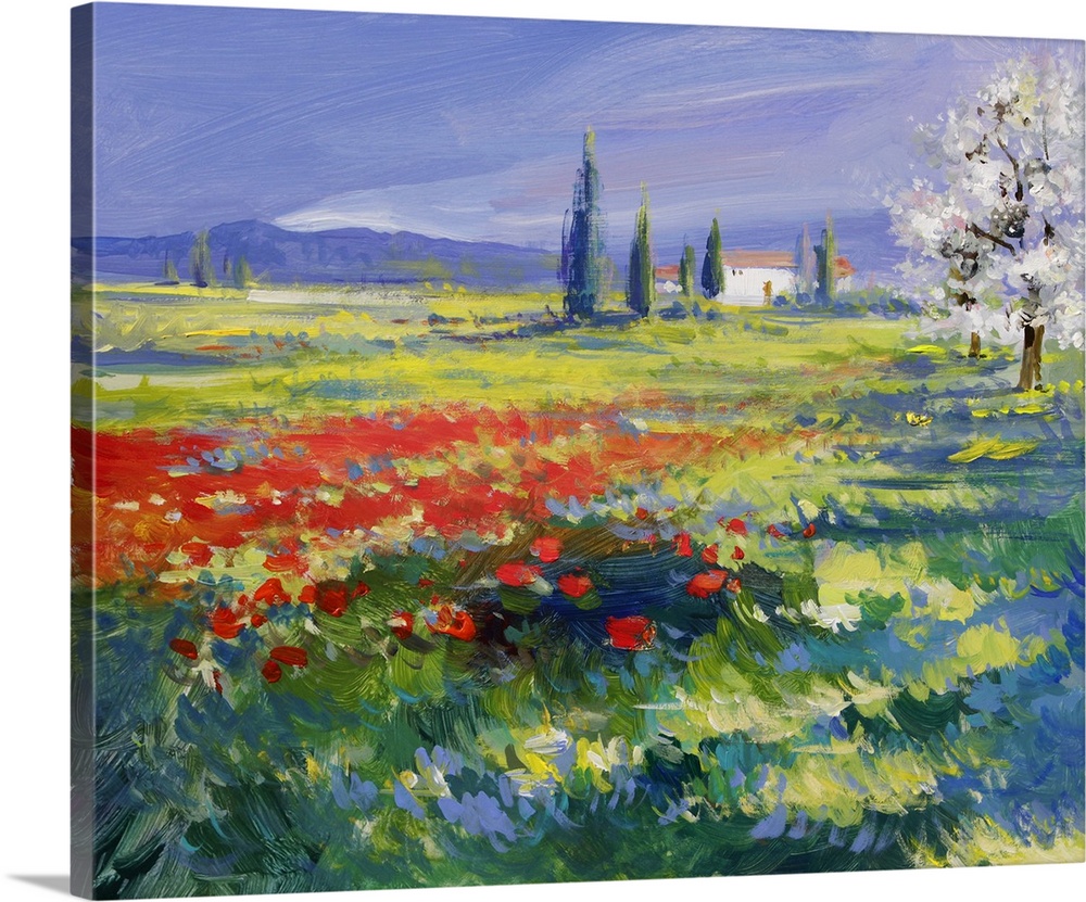 Red poppies on a summer meadow - originally oil paints on acrylics.
